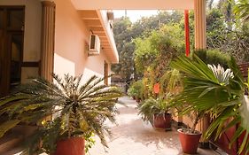 Hotel Buddha